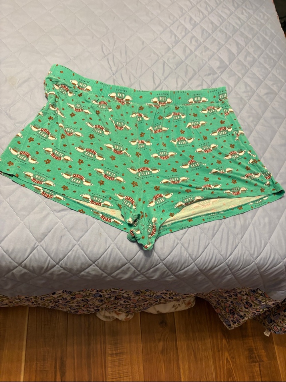 Women’s Mint Green Printed Sleep Shorts